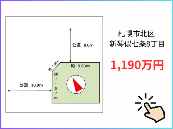 新琴似