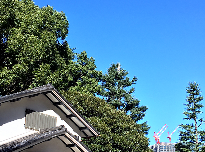 一戸建ての屋根と空の写真